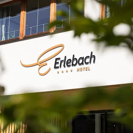 Erlebach 4 Hotel 4*