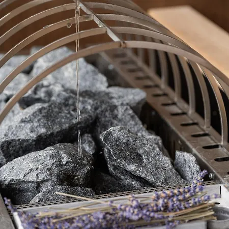 Erlebach 4 4* Riezlern