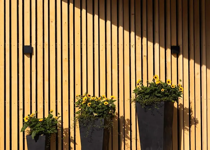 Auszeit - Erlebach Hotel